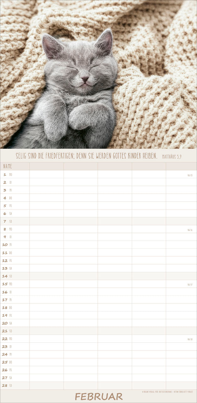 fontis-kalender-katzen-anmut-auf-vier-pfoten-familienplaner-2027 image 4