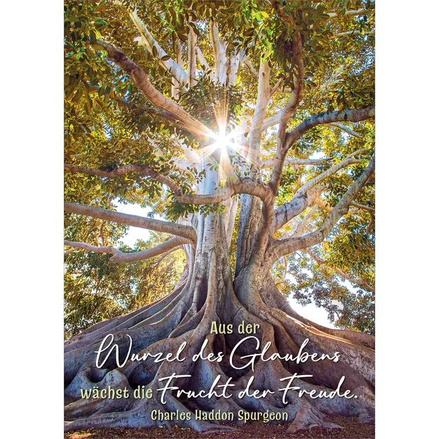 fontis-papeterie-aus-der-wurzel-postkarten-12er-set-spurgeon image 1