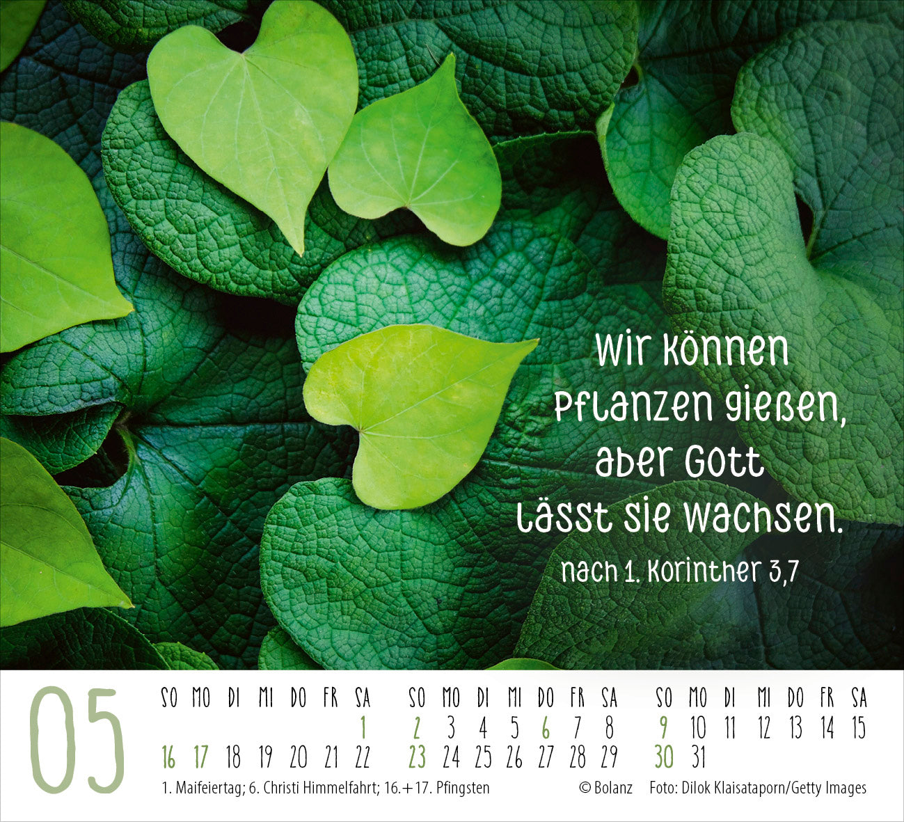 fontis-danke-2027-minikalender-dankbarkeit-bibelverse image 7