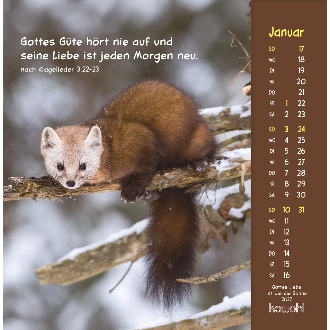fontis-kalender-gottes-liebe-ist-wie-die-sonne-2027-postkartenkalender-tiere image 3