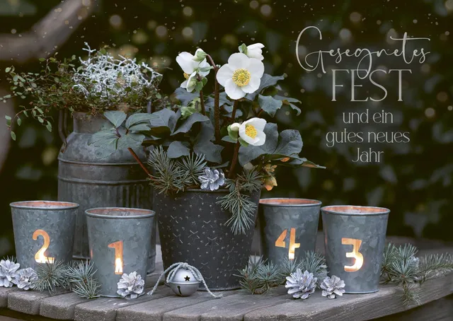 fontis-papeterie-gesegnetes-fest-postkarten-12er-weihnachten image 1