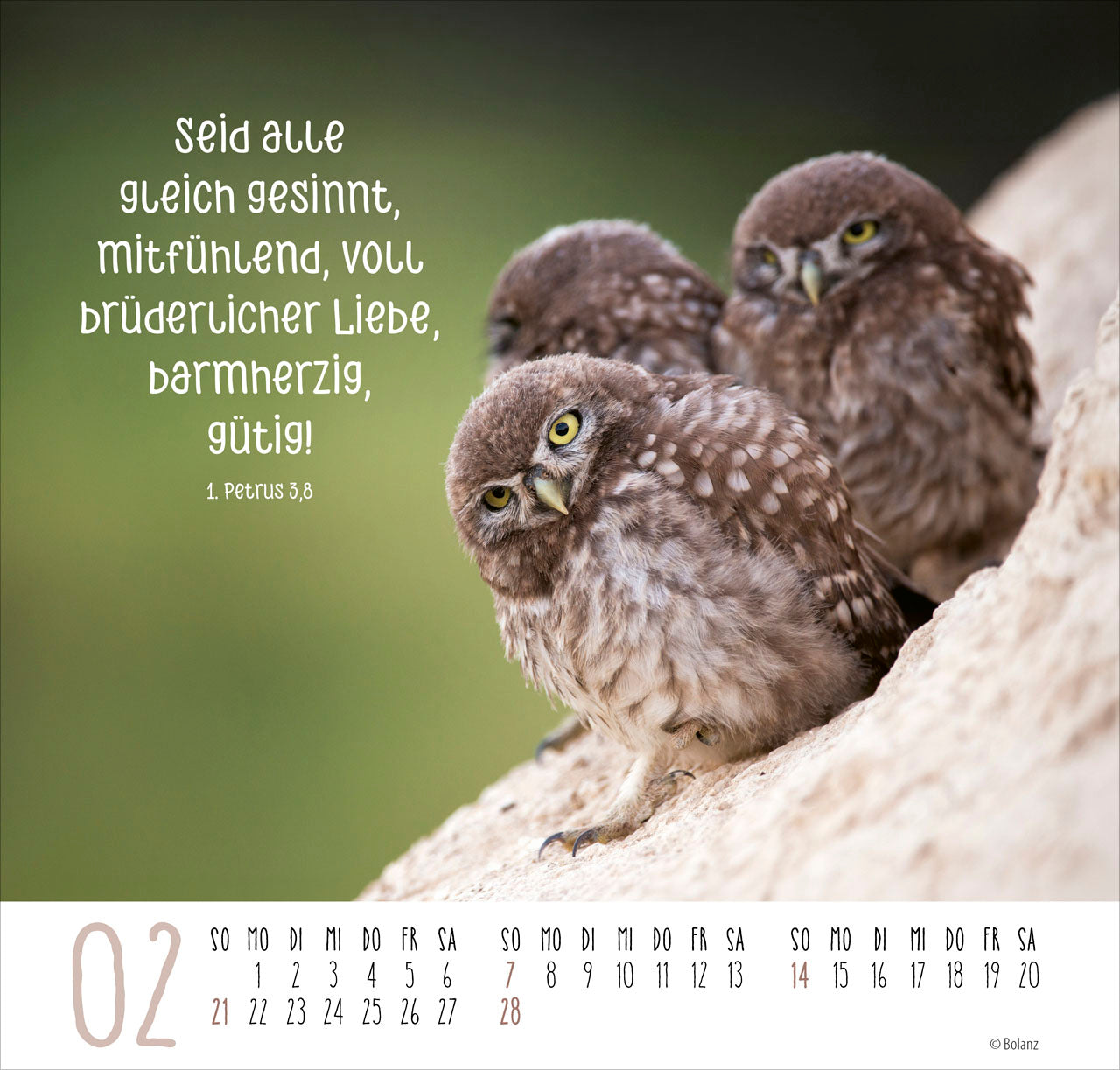 bolanz-beste-freunde-ich-mag-dich-2027-posterkalender image 4
