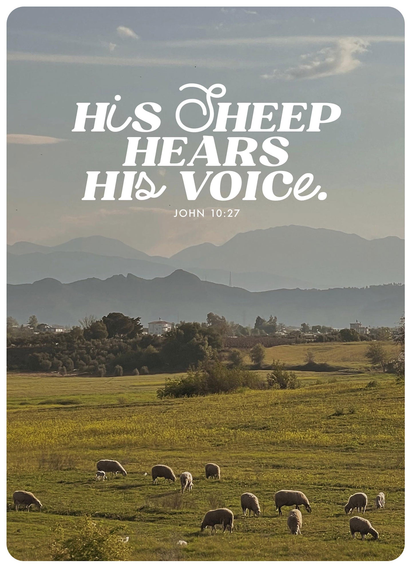 fontis-papeterie-his-sheep-hears-his-voice-postkarte-xl image 1