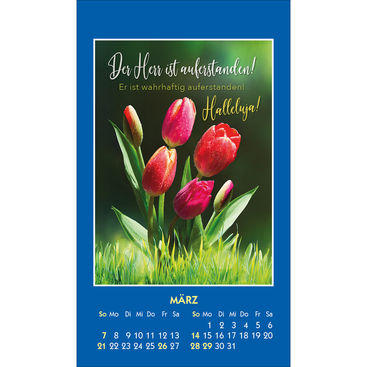fontis-ein-gutes-wort-f-r-dich-2027-aufkleberkalender-christlich image 5