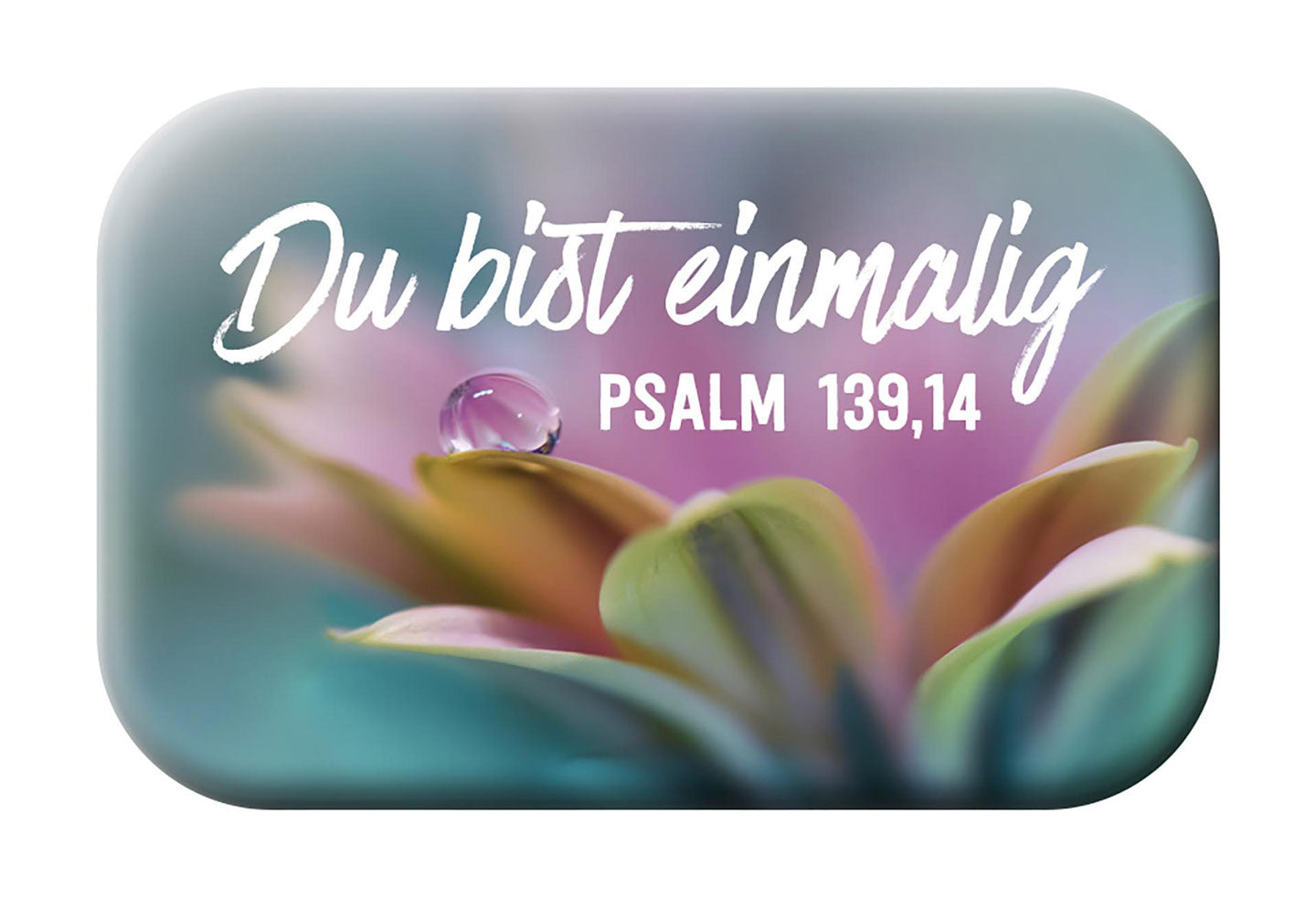 fontis-verlag-du-bist-einmalig-magnet-blessing-psalm-139-14 image 1