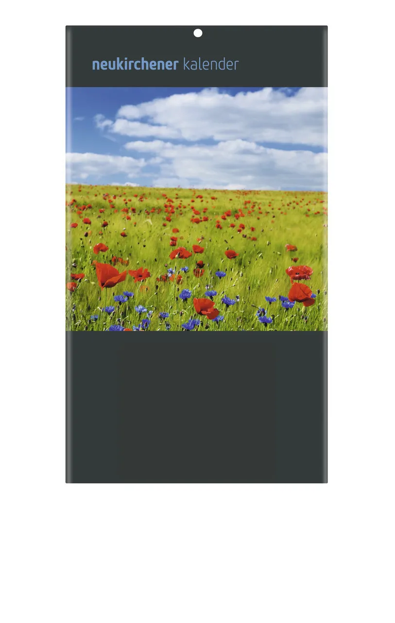 fontis-kalender-neukirchener-r-ckwand-blumenfeld-immerw-hrend image 1