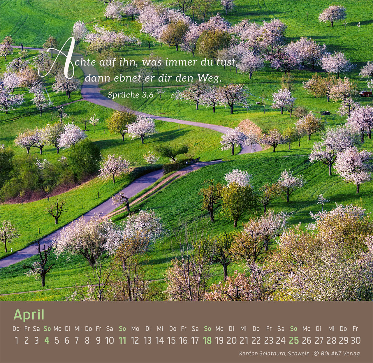 fontis-weg-licht-leben-2027-aufstellkalender-tisch image 6