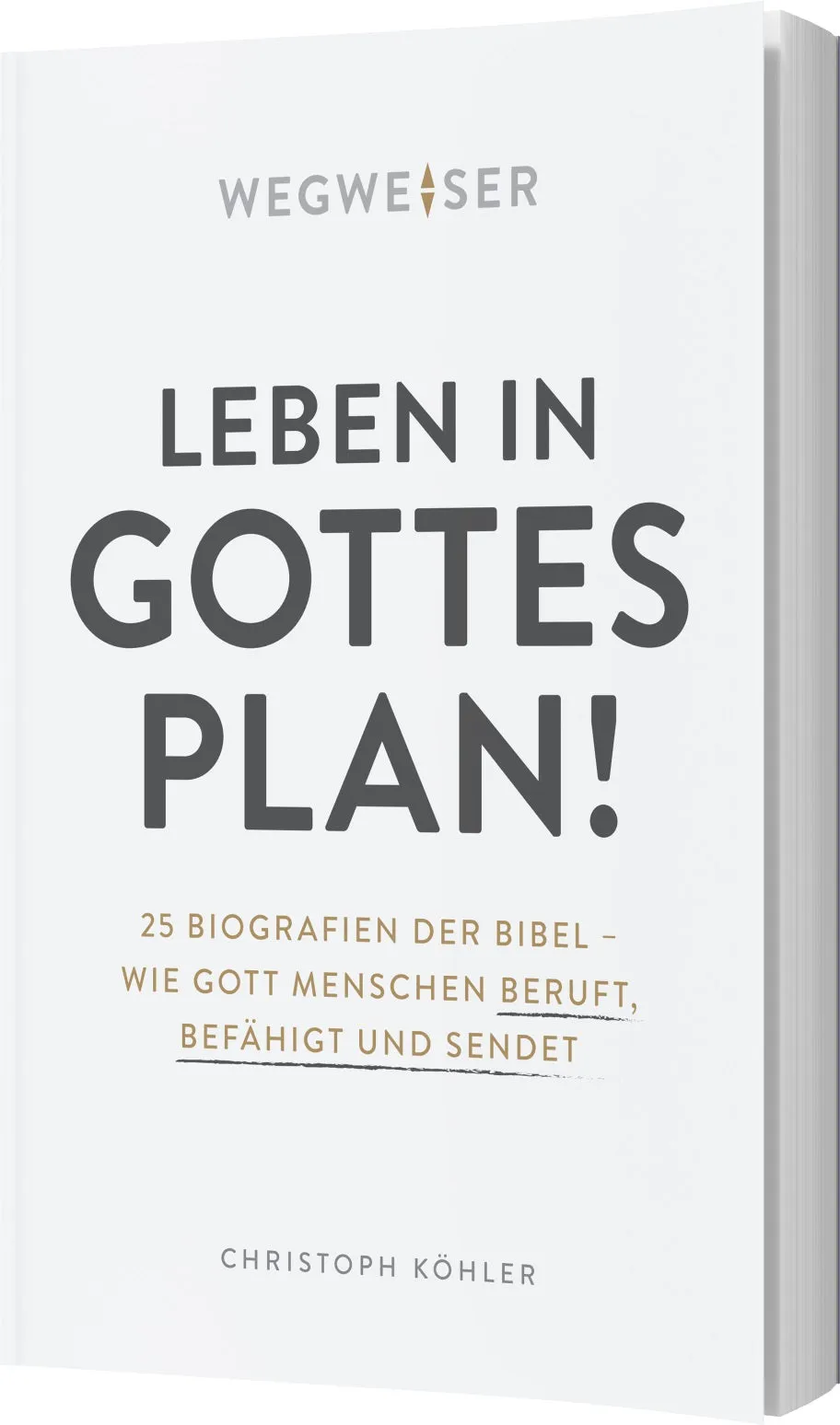 fontis-b-cher-leben-in-gottes-plan-buch-paperback-nachfolge image 1