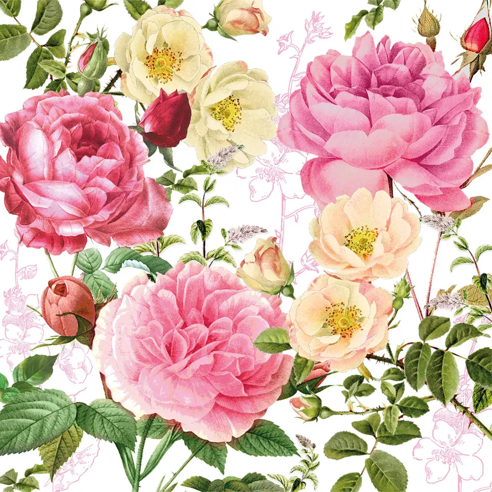 fontis-geschenke-servietten-rosalie-33x33-20-st-ck image 1