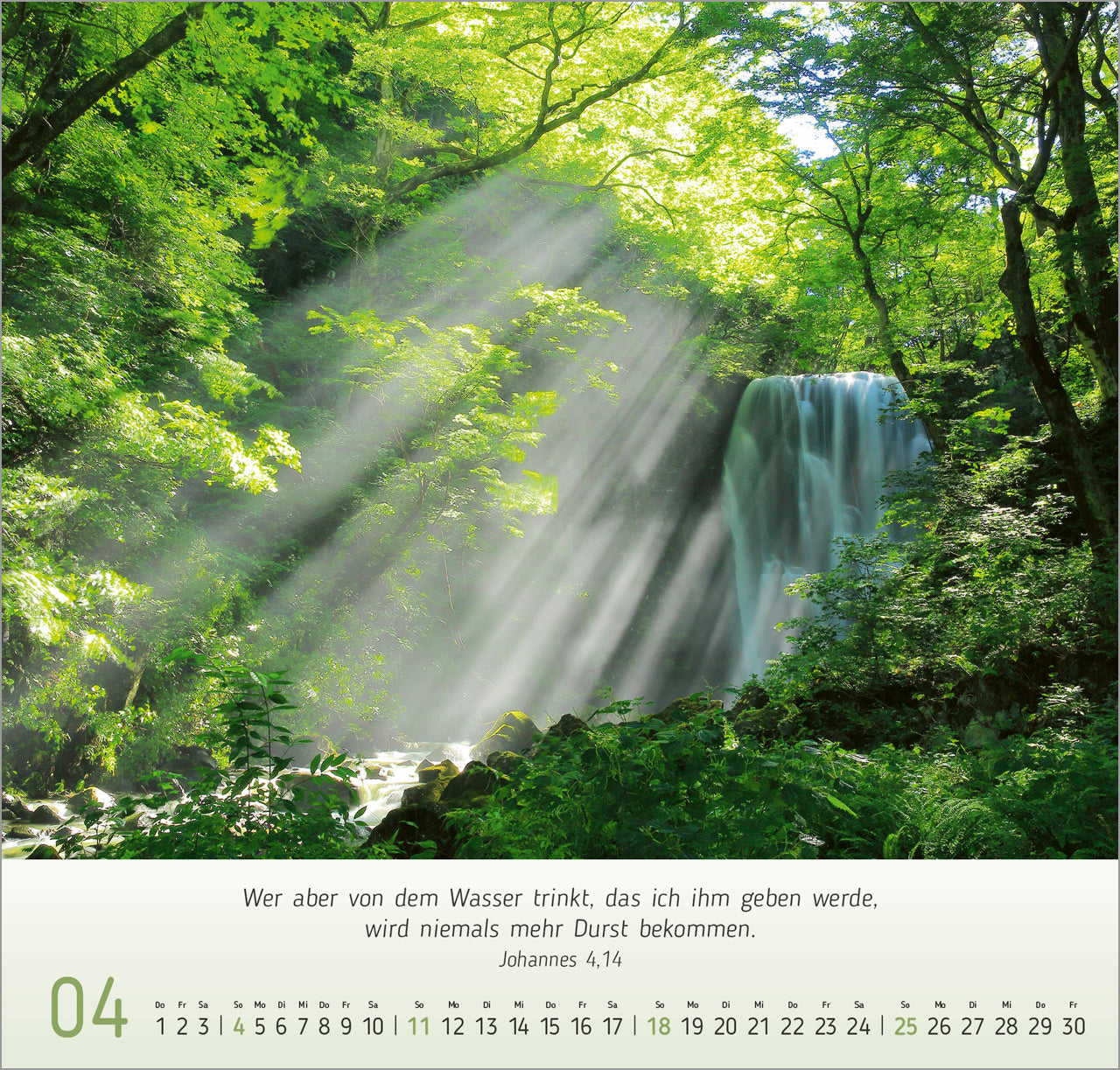 fontis-licht-impressionen-2027-wandkalender-bibelverse image 6