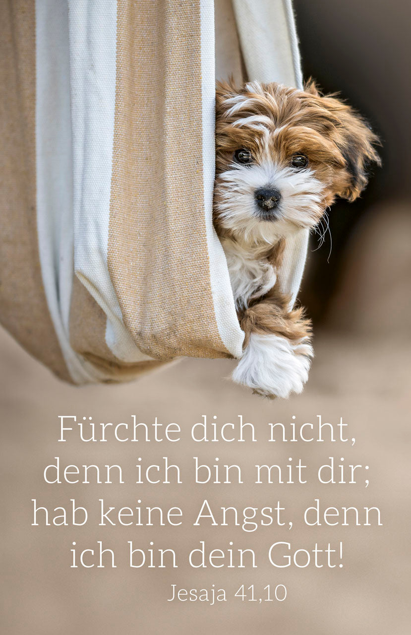 fontis-papeterie-f-rchte-dich-nicht-minikarten-set-12-st-ck image 2