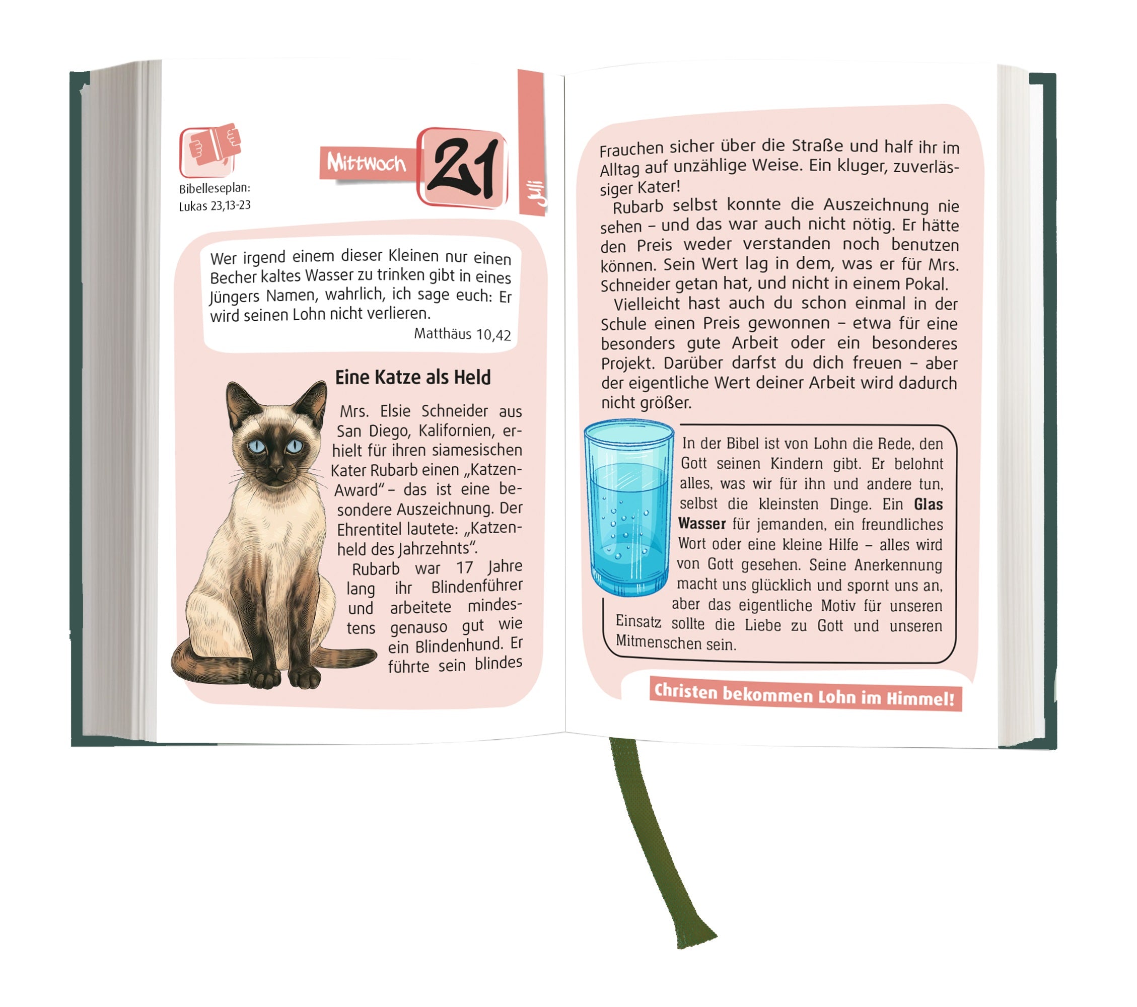 csv-der-kompass-2027-buchkalender-f-r-kinder-ab-9-jahre image 2
