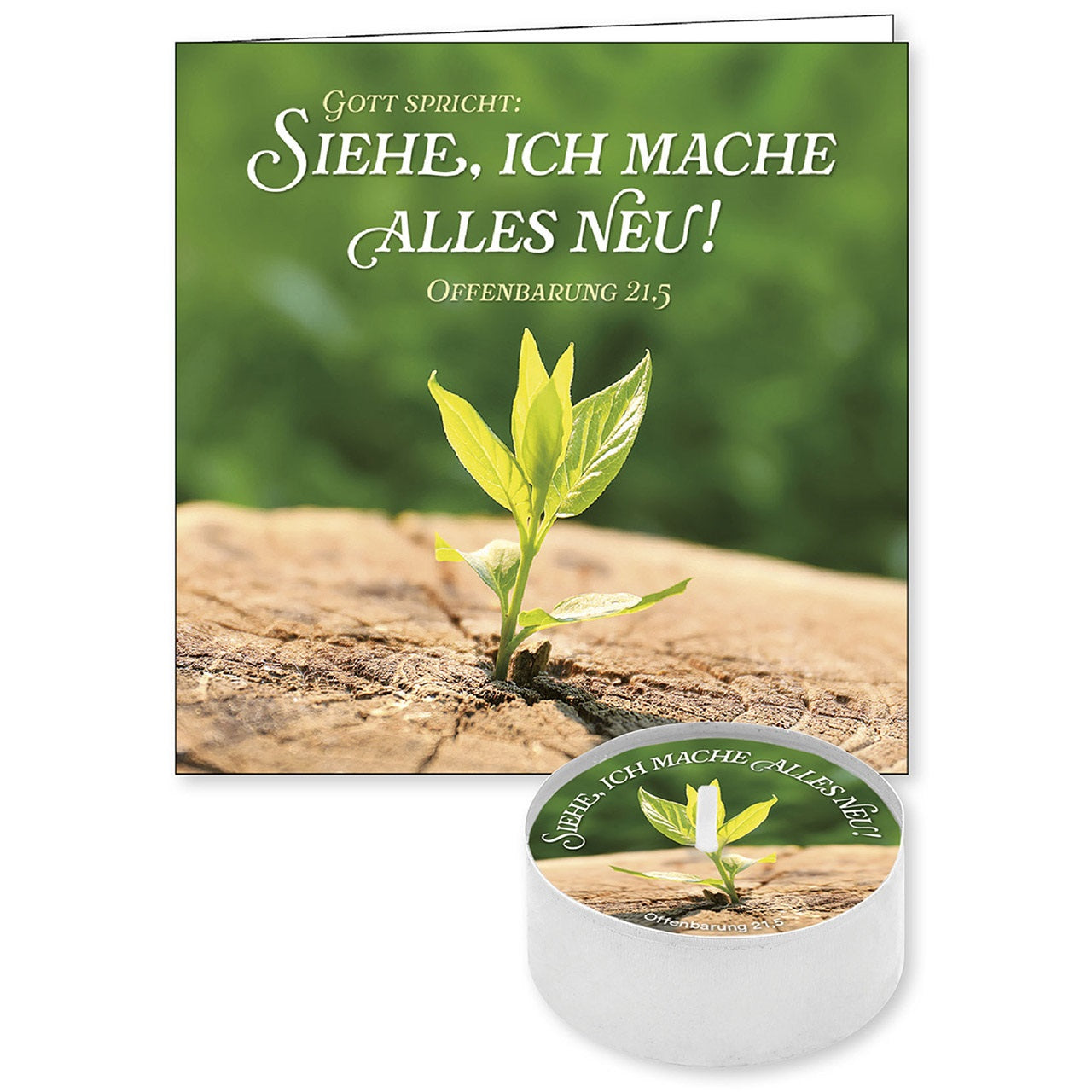 fontis-siehe-ich-mache-alles-neu-lichtgru-teelicht-2026 image 1