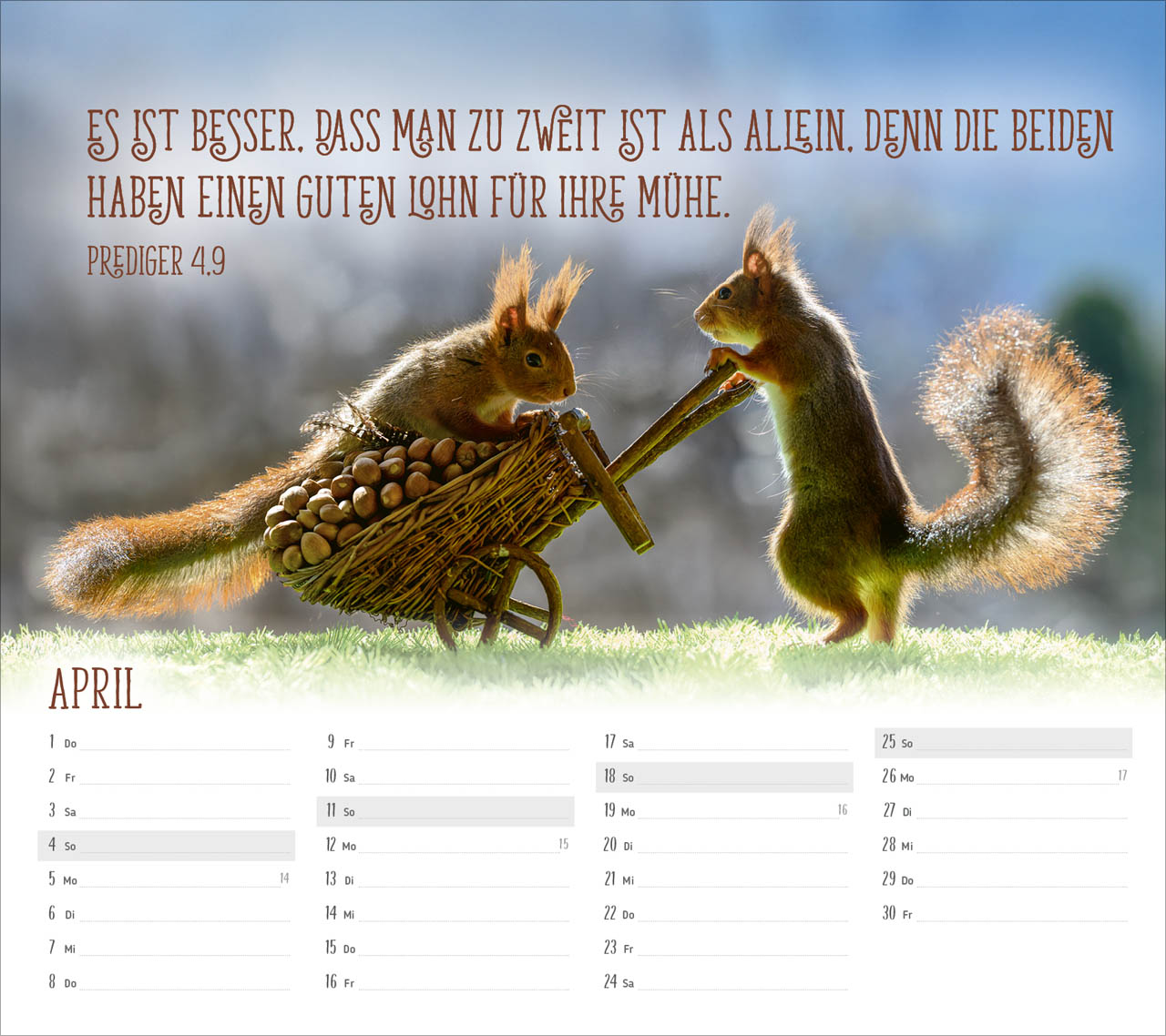 fontis-kalender-du-sorgst-f-r-mich-2027-postkartenkalender-eichh-rnchen image 6