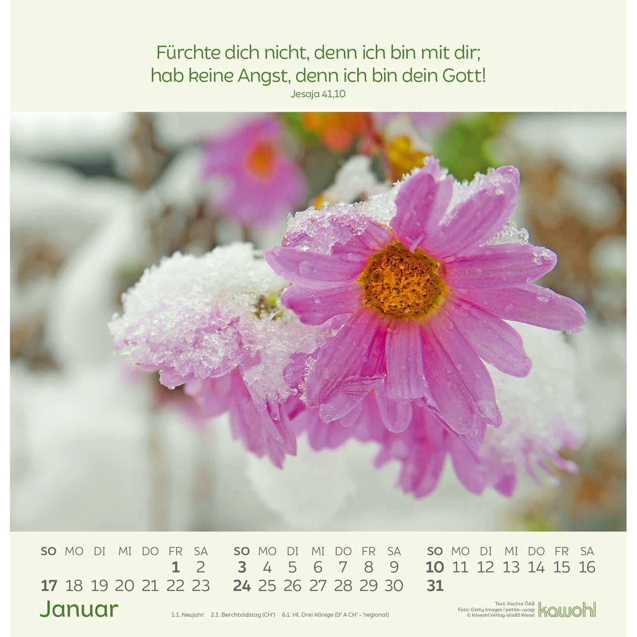 fontis-kalender-blumengr-e-2027-wandkalender-blumen image 3