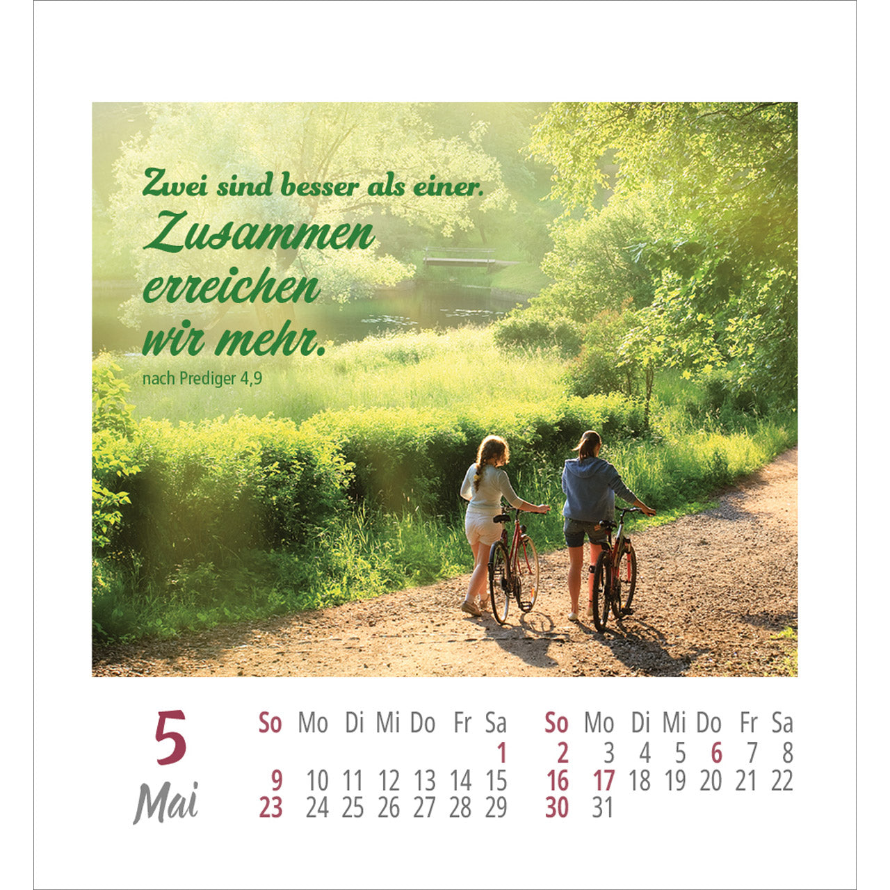 fontis-frei-sein-leben-2027-aufkleberkalender-bibelworte image 7