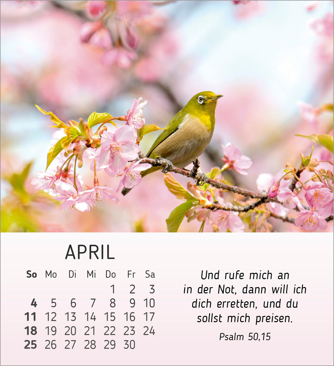 fontis-stille-begegnungen-2027-aufstellkalender-natur-bibelverse image 6