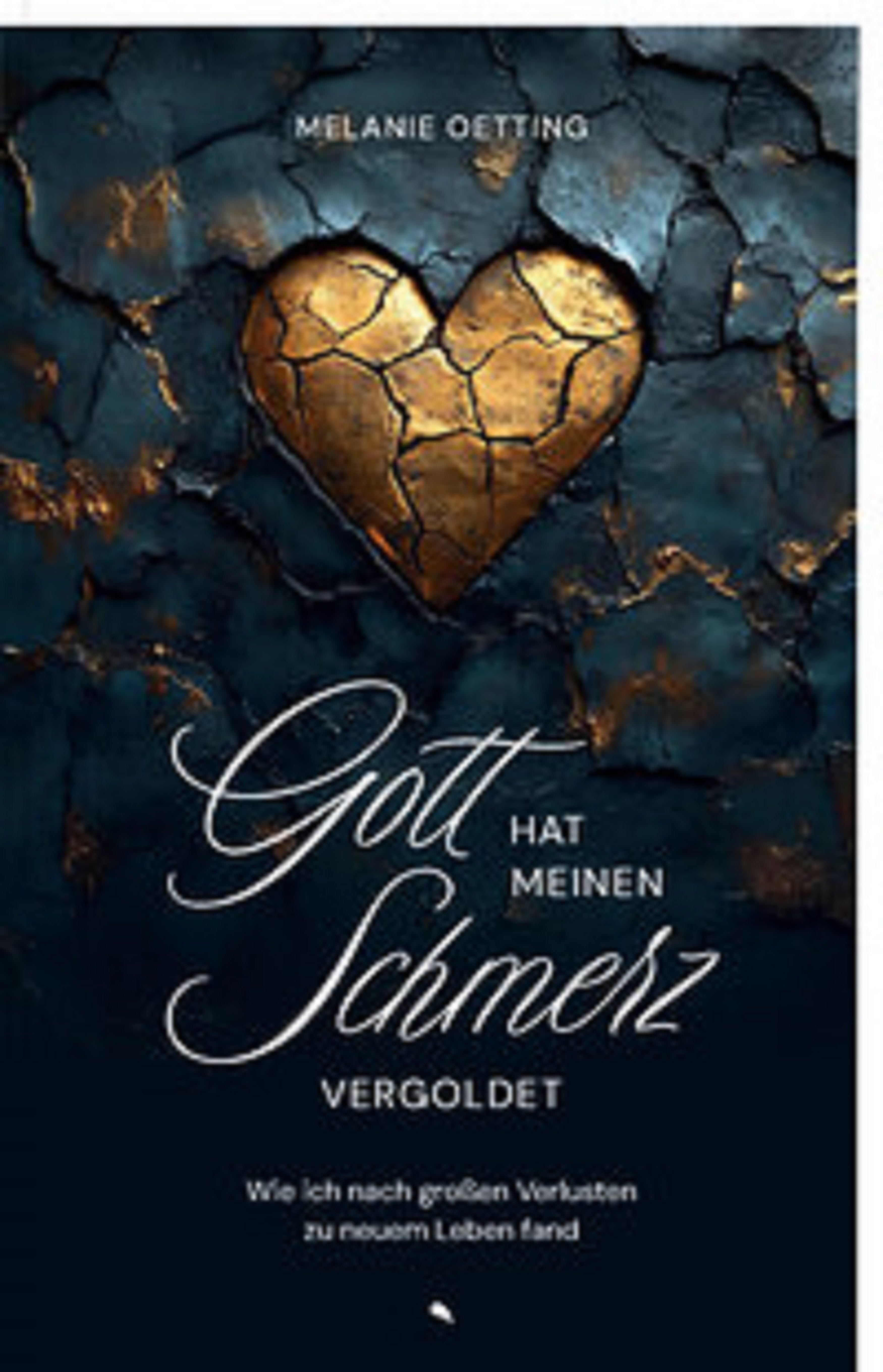 fontis-e-books-gott-hat-meinen-schmerz-vergoldet-e-book-biografie image 1