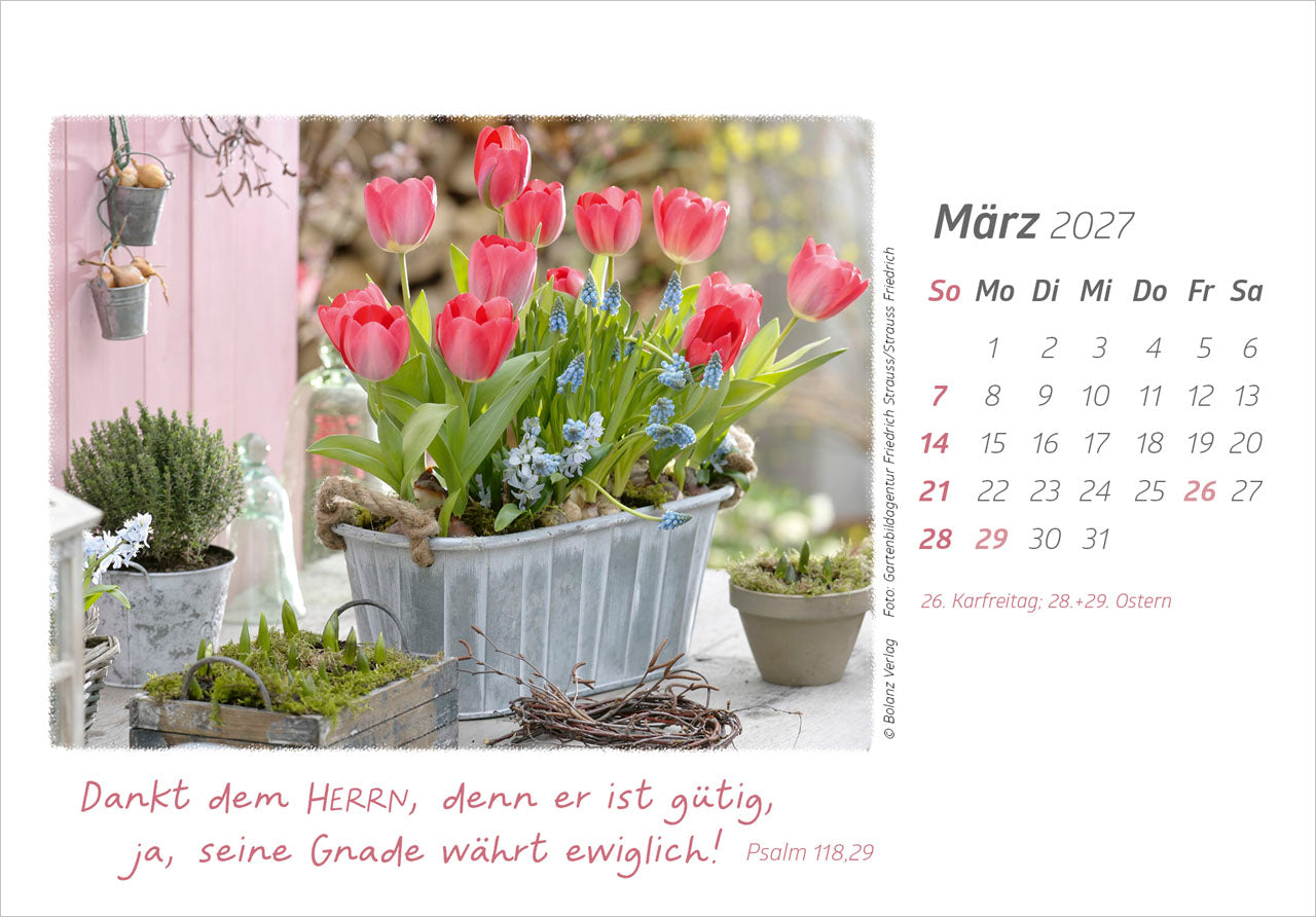 fontis-kalender-die-g-te-gottes-preisen-2027-aufstellkalender-blumen image 5