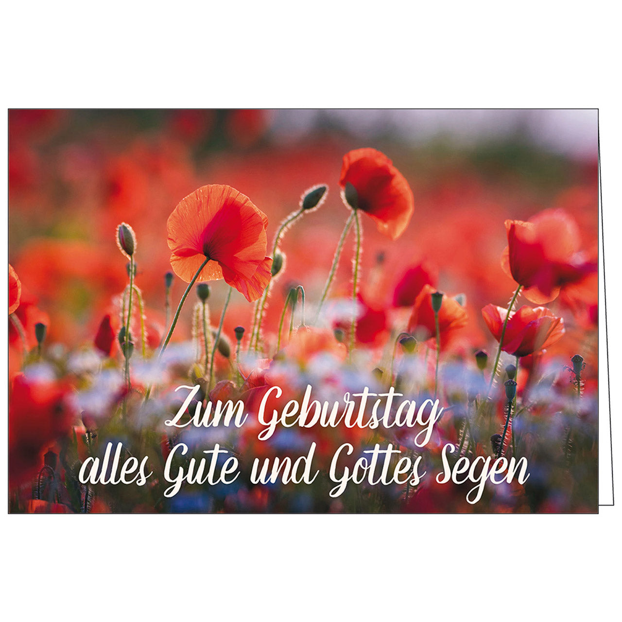 fontis-zum-geburtstag-gottes-segen-faltkarte-geburtstag image 1