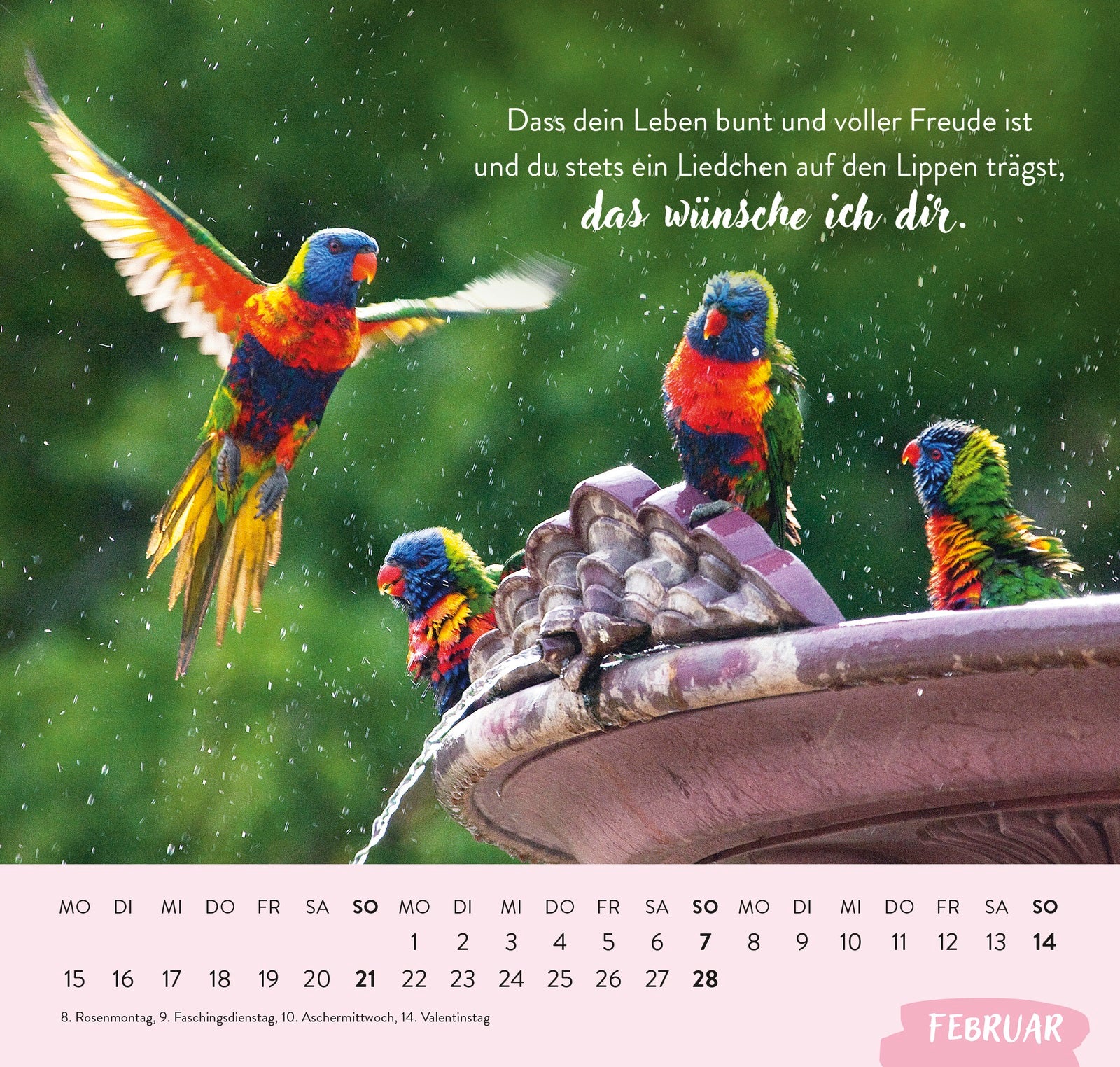 fontis-kalender-was-ich-dir-von-herzen-w-nsche-2027-wandkalender-21cm image 3