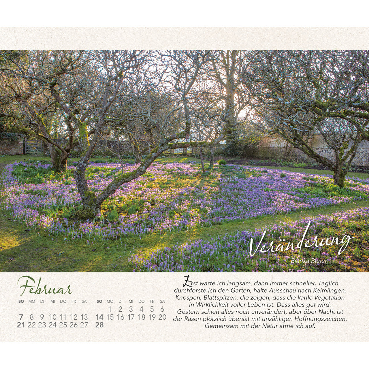 fontis-wo-himmel-und-erde-sich-zart-ber-hren-kalender-2027 image 4