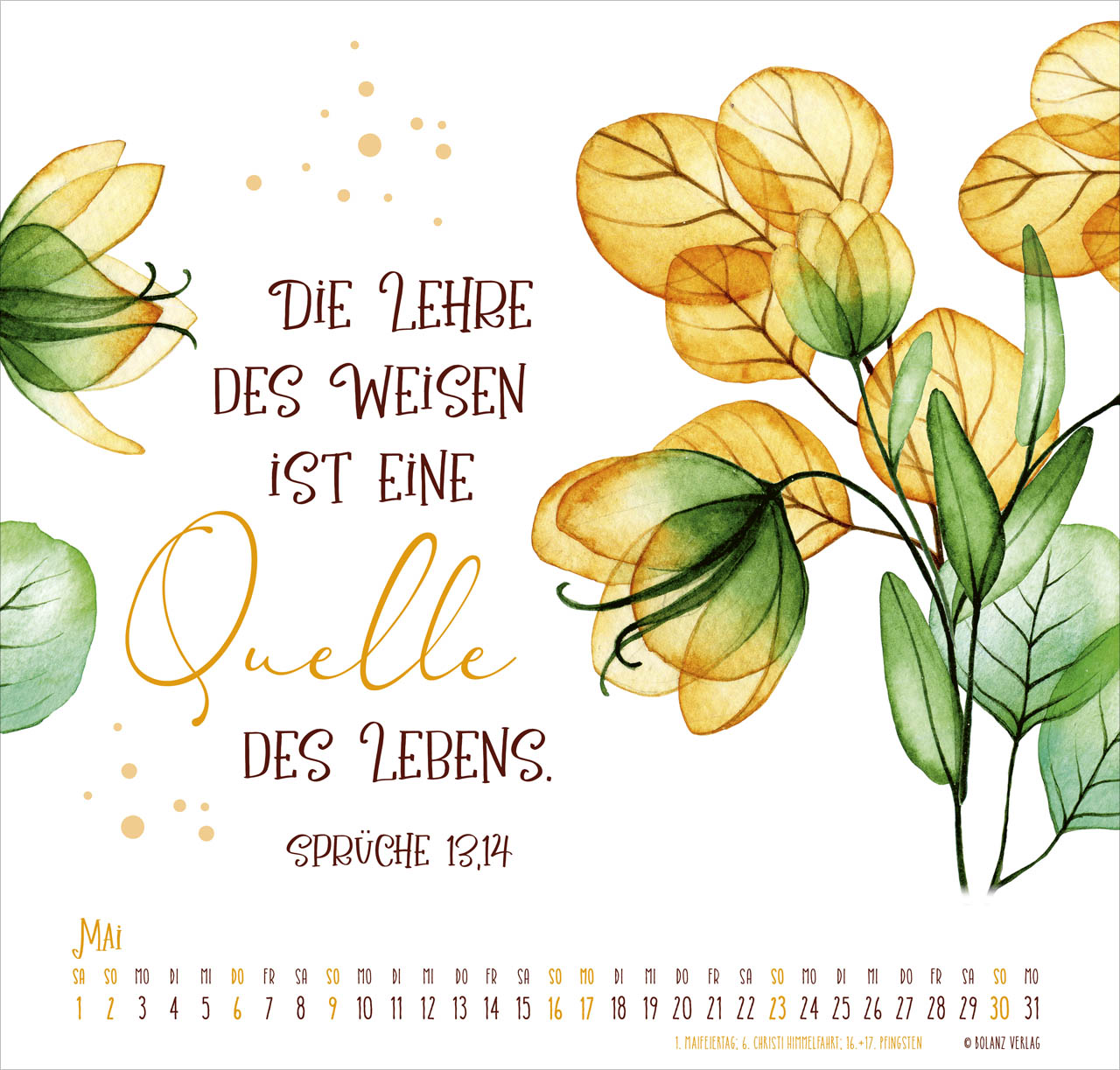 bolanz-gesegnet-tag-f-r-tag-2027-posterkalender-wandkalender image 7