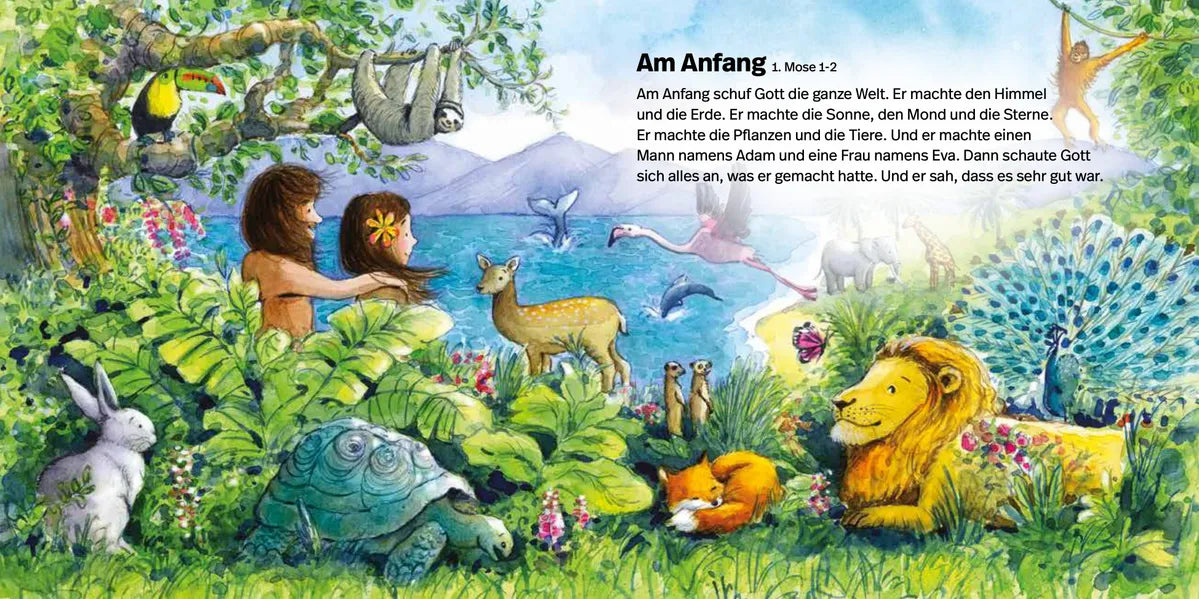 fontis-meine-liebste-kinderbibel-kinderbibel-pappband-ab-2-jahre image 2