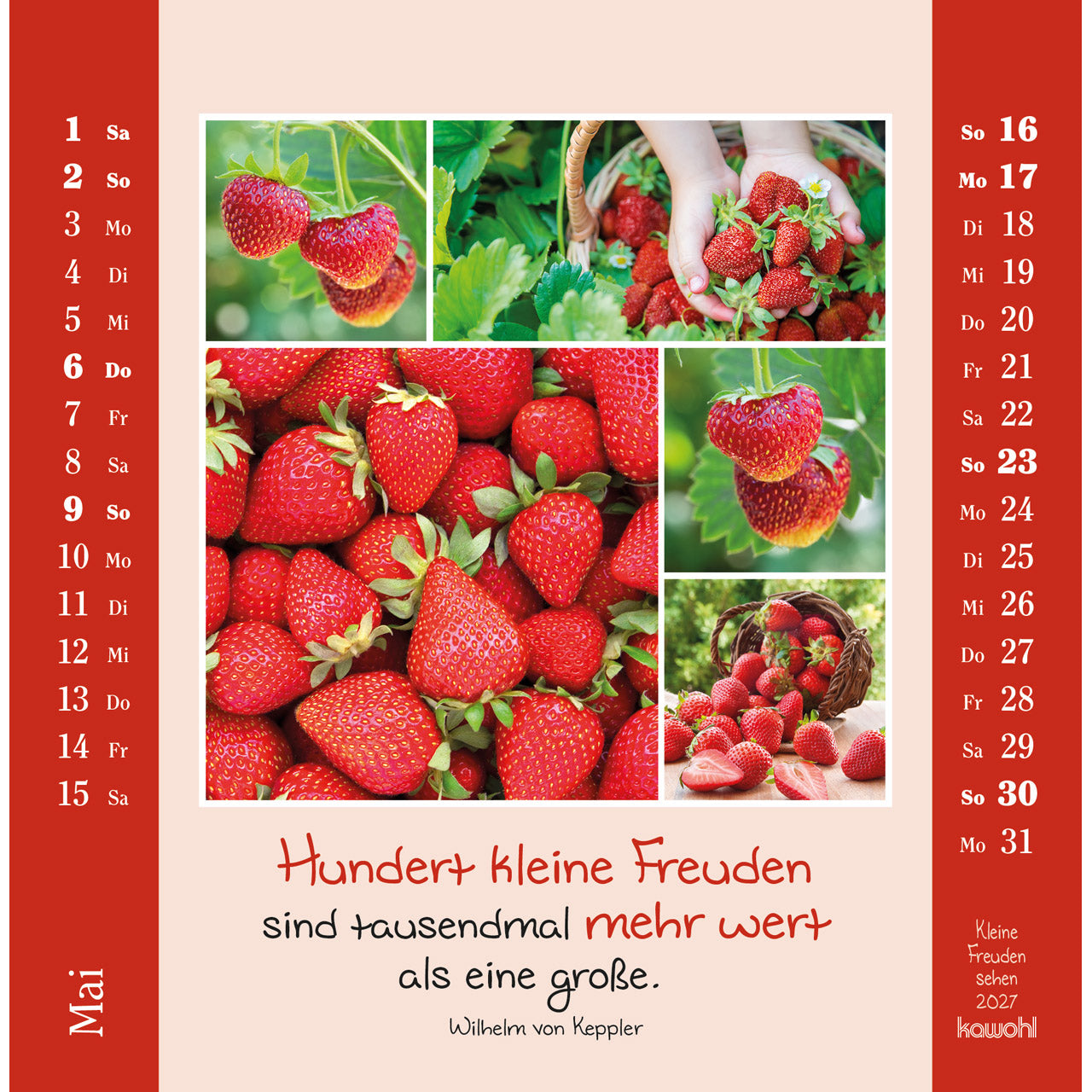 fontis-kalender-kleine-freuden-sehen-2027-postkartenkalender image 7
