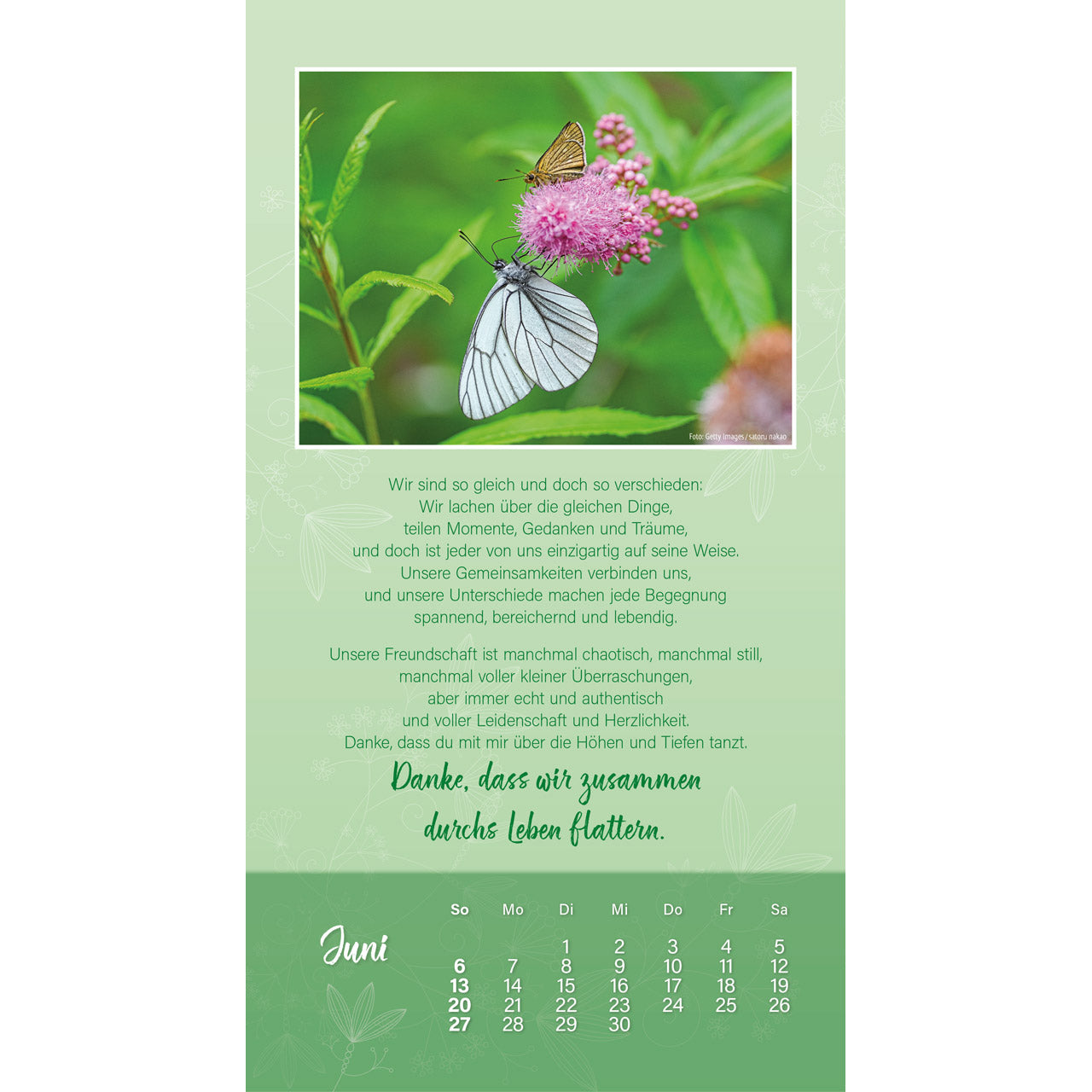 doro-zachmann-sch-n-dass-es-dich-gibt-2027-wandkalender image 8