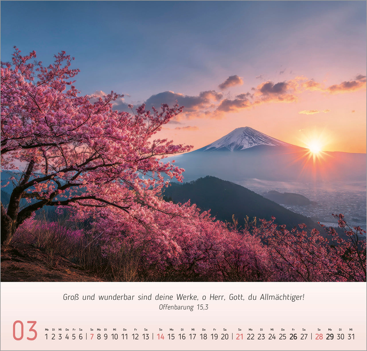 fontis-licht-impressionen-2027-wandkalender-bibelverse image 5