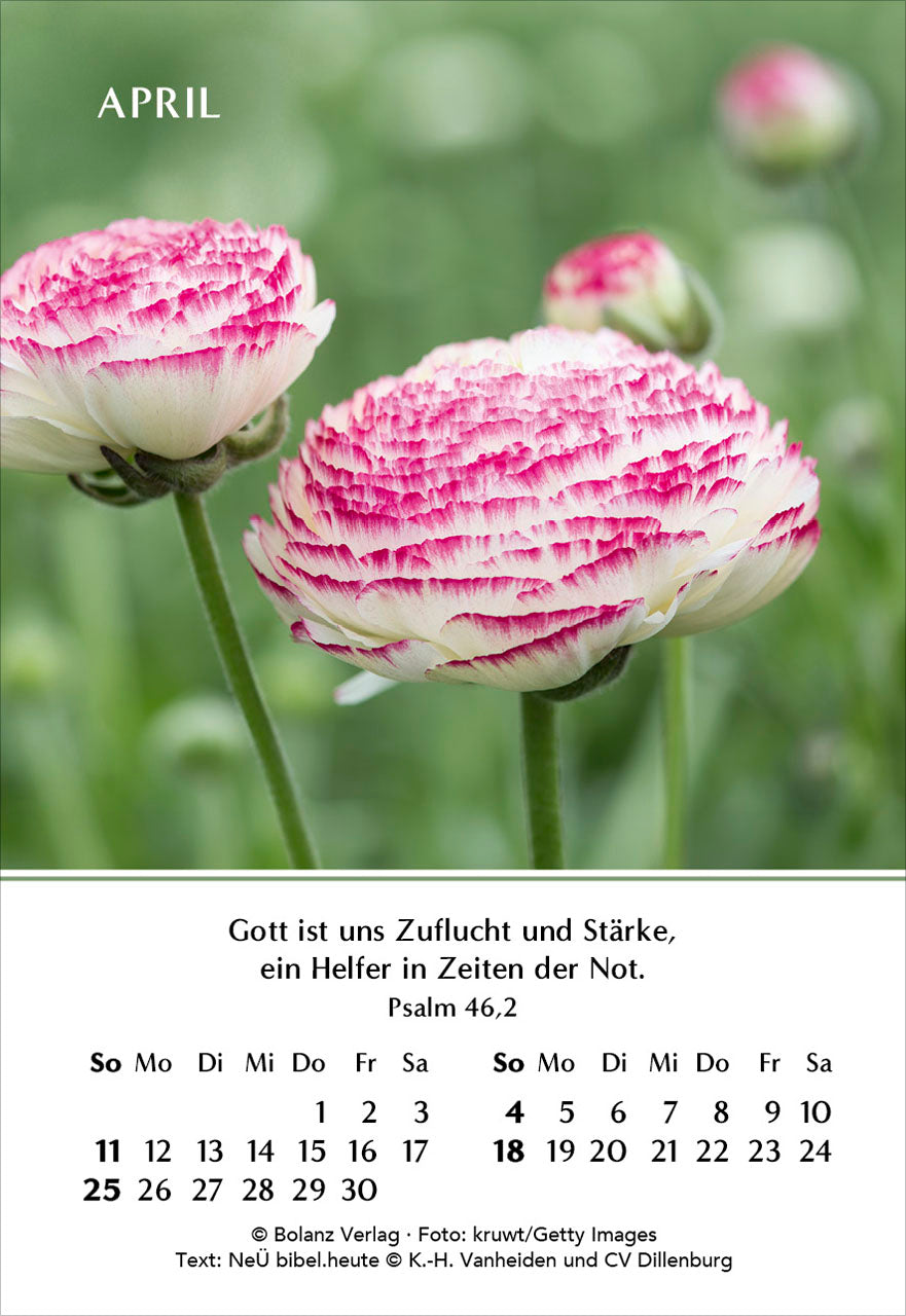 fontis-kalender-ein-jahr-der-freude-2027-minikalender-blumen image 6
