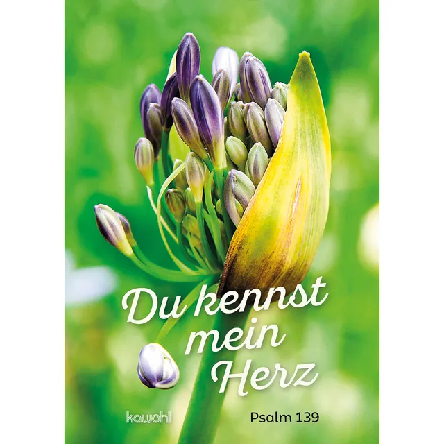 du-kennst-mein-herz-von-herz-zu-herz-gru-heft-16-seiten image 1