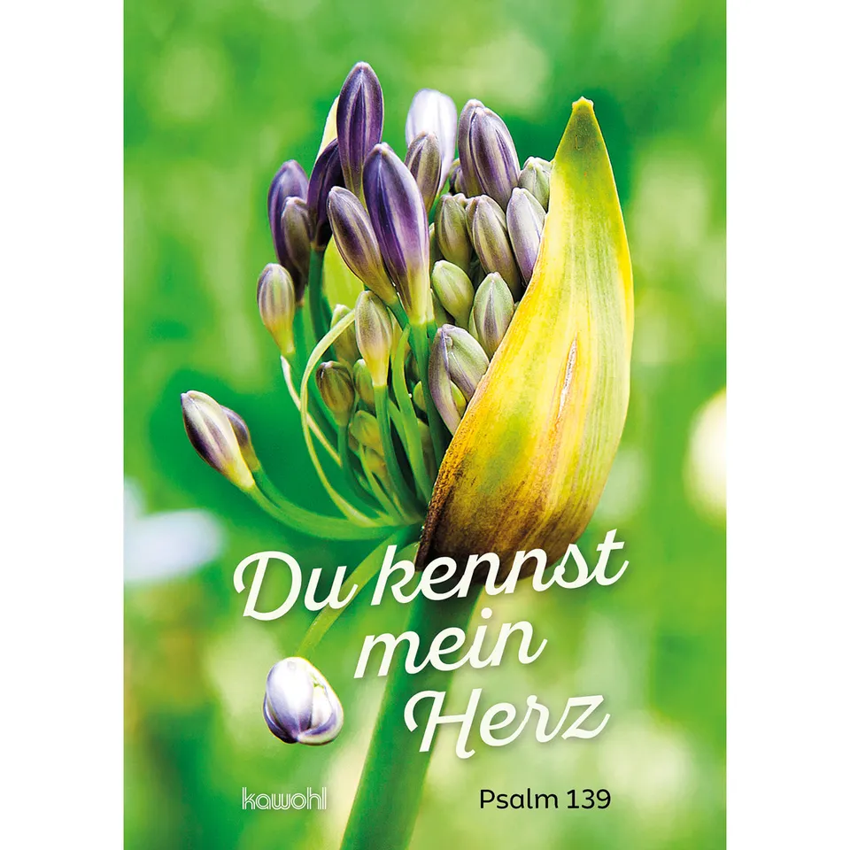 du-kennst-mein-herz-von-herz-zu-herz-gru-heft-16-seiten image 1