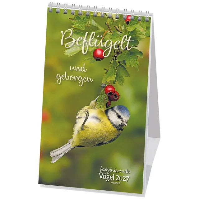 fontis-befl-gelt-und-geborgen-postkartenkalender-2027-v-gel image 1