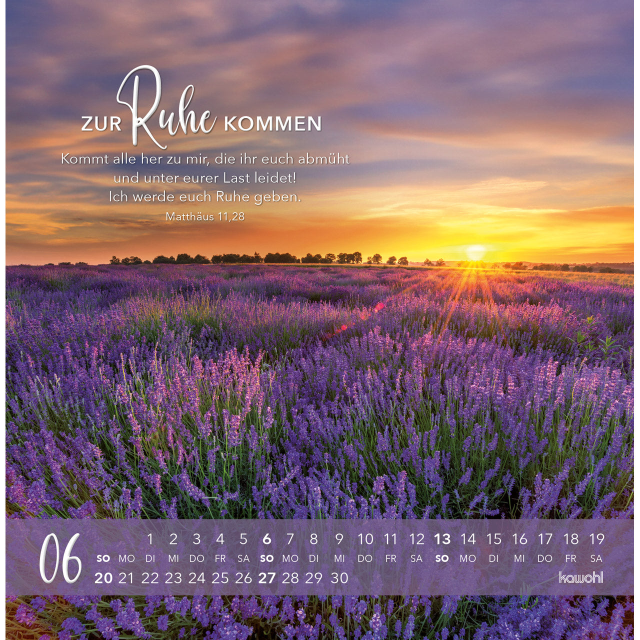 fontis-kalender-die-liebe-bleibt-bestehn-2027-postkartenkalender image 8
