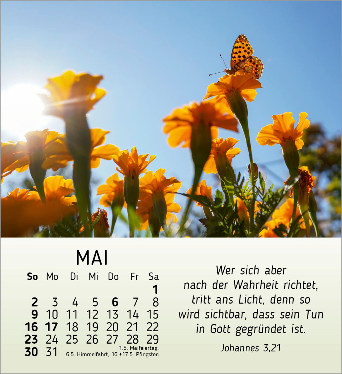 fontis-sch-nheit-des-lichts-2027-aufstellkalender-bibelworte image 7