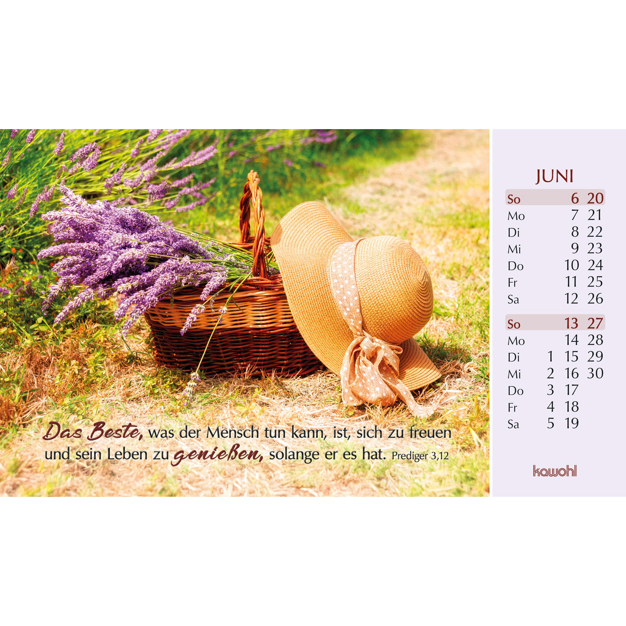 fontis-kalender-heute-und-morgen-geborgen-2027-postkartenkalender image 8