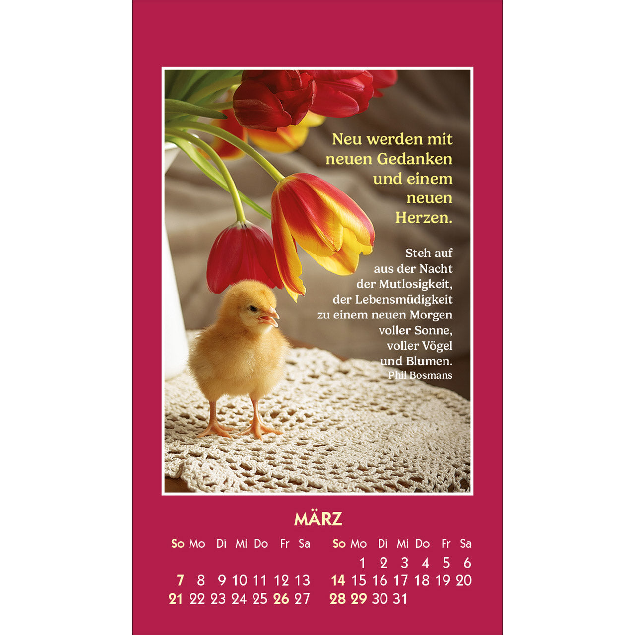fontis-gute-worte-erhellen-den-tag-2027-aufkleberkalender-phil-bosmans image 5