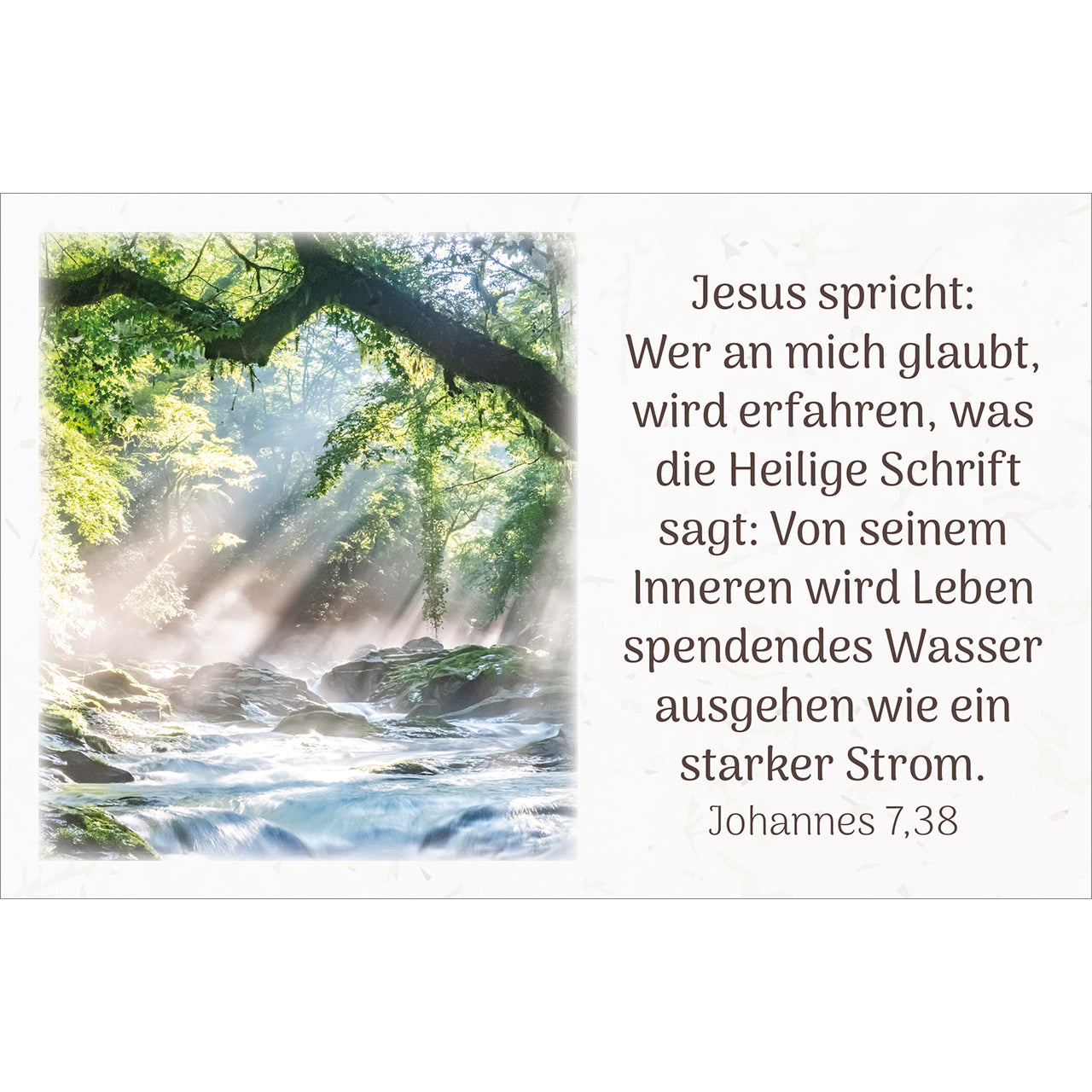 fontis-papeterie-himmlische-zusagen-kartenbox-62-bibelkarten image 4