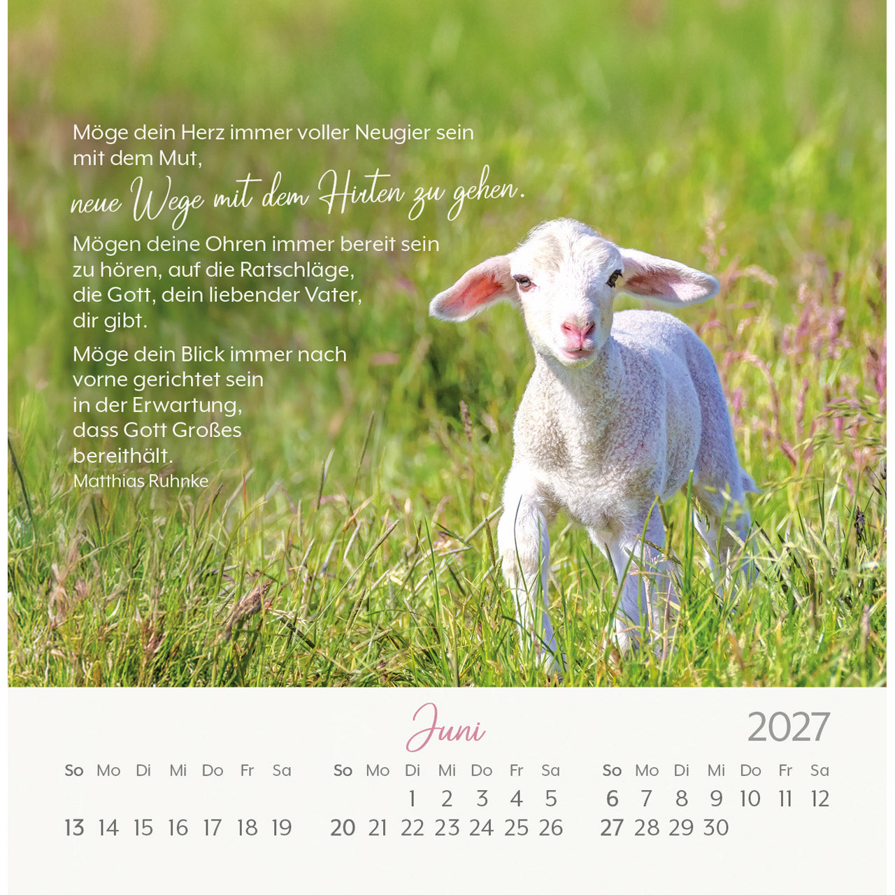 fontis-kalender-herzensw-nsche-2027-postkartenkalender-segensw-nsche image 8