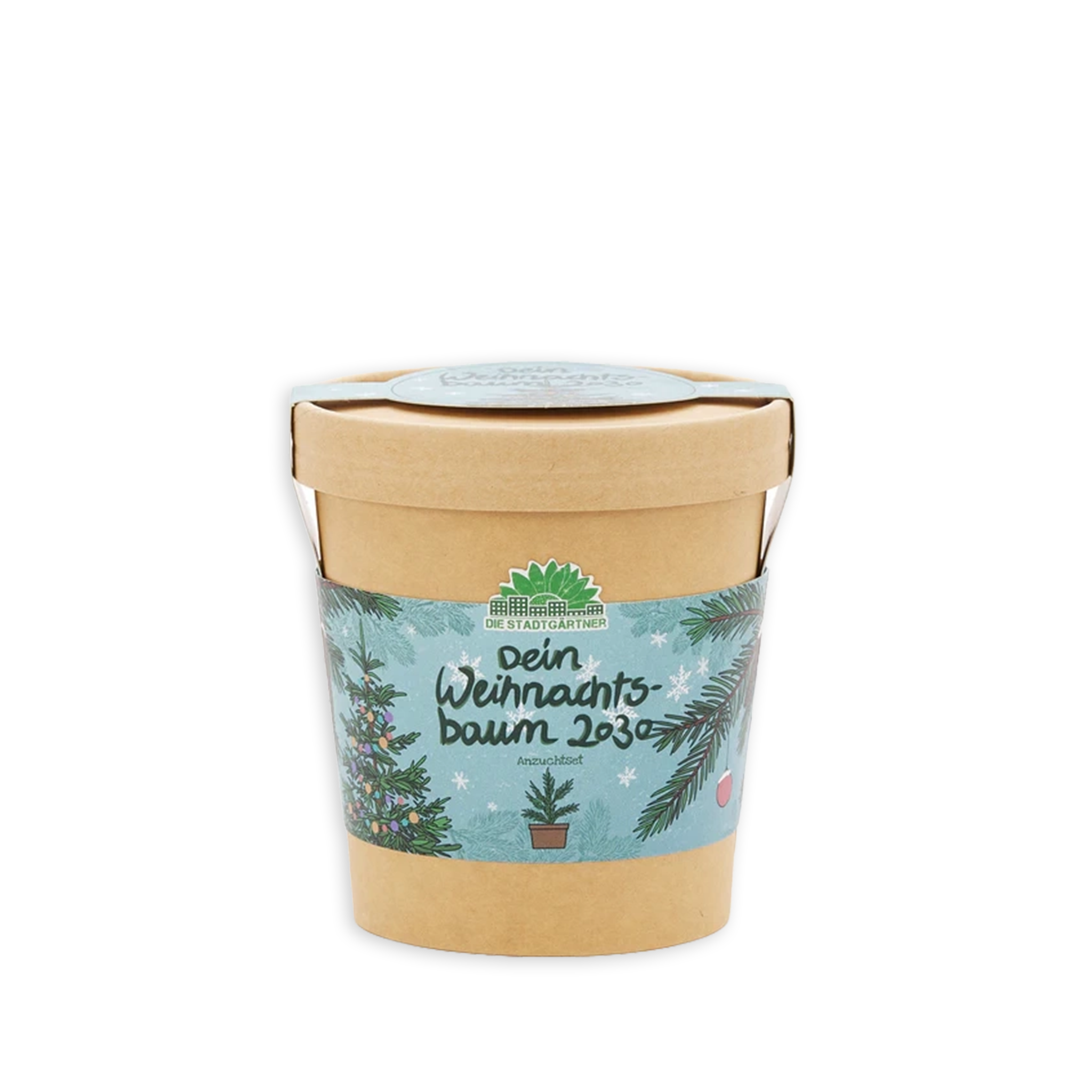 bonifatiuswerk-weihnachtsbaum-2030-anzuchtset-mit-fichten-saatgut image 1