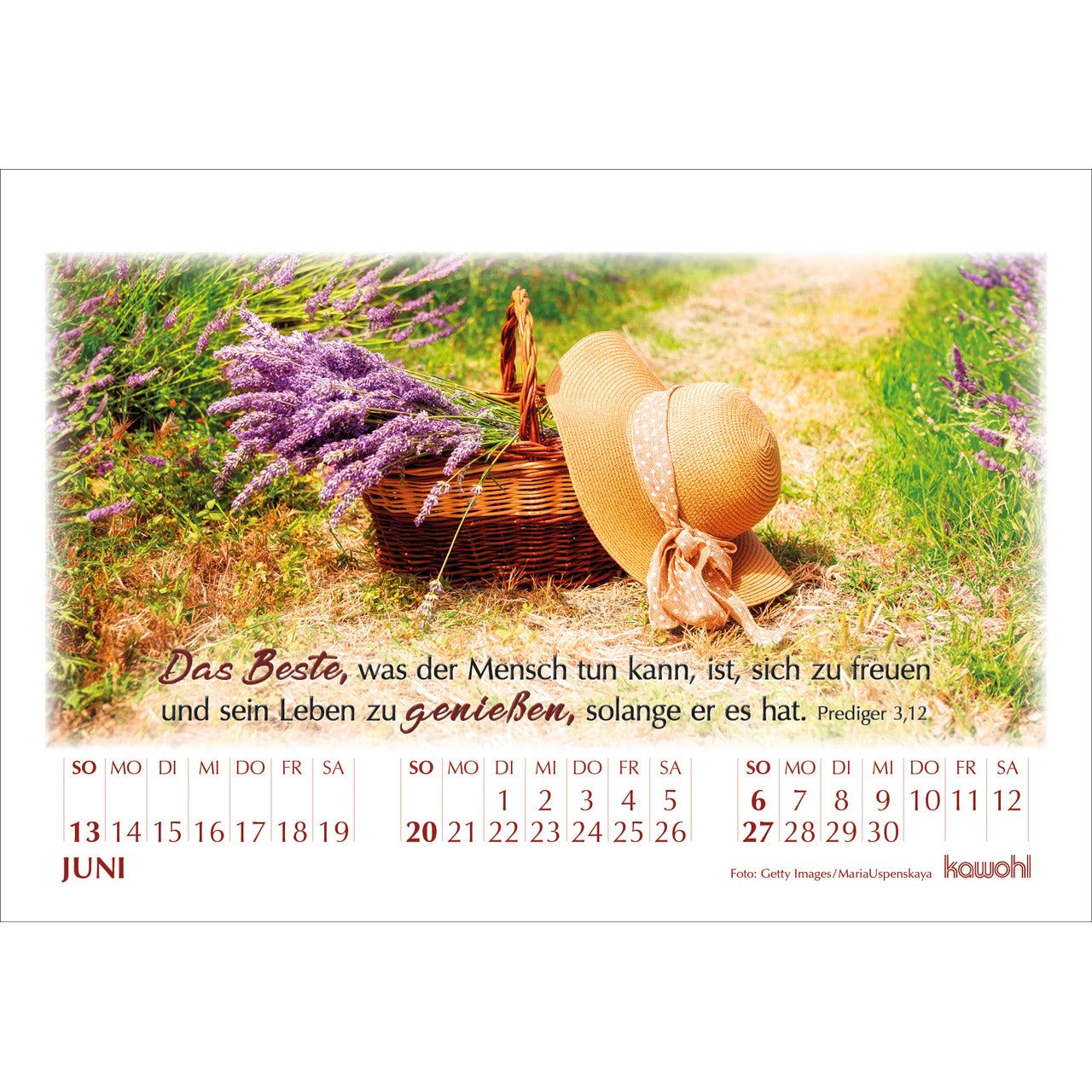 fontis-kalender-in-seinem-licht-2027-aufstellkalender-bibelwort image 8