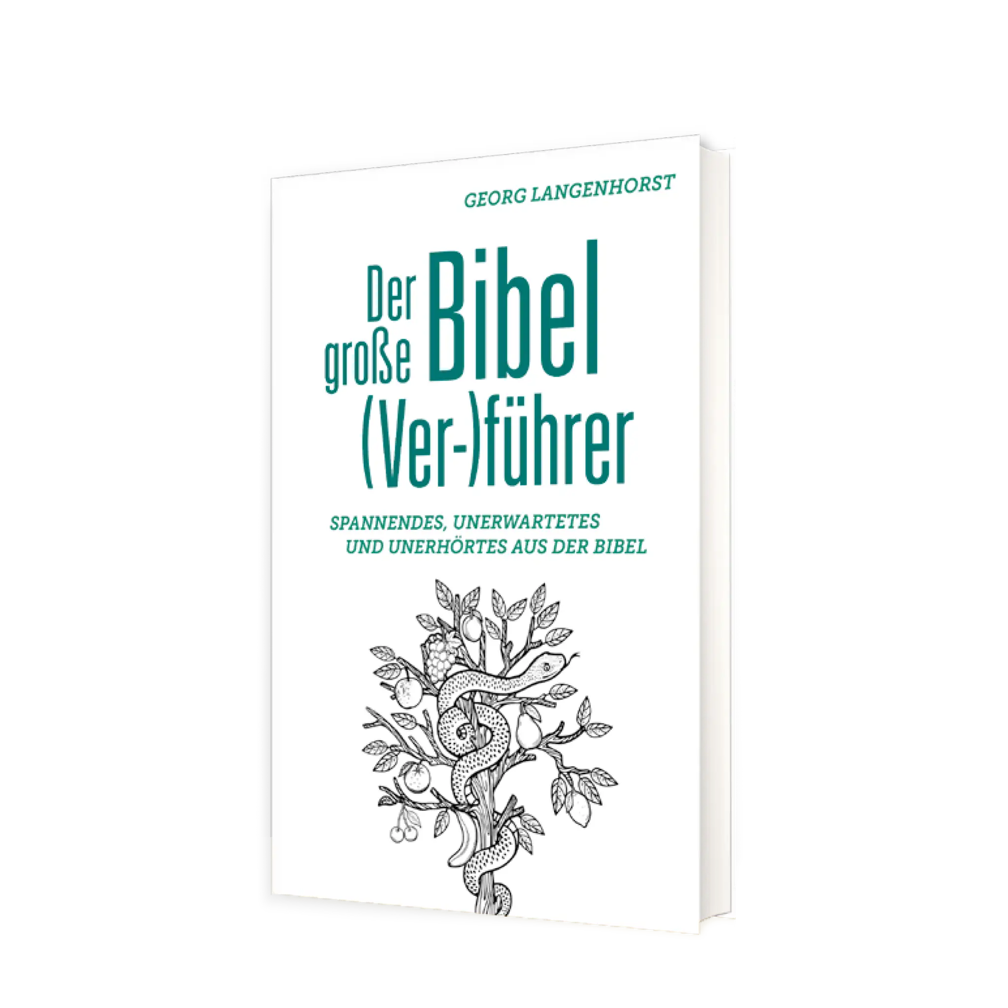 bonifatiuswerk-der-gro-e-bibel-ver-f-hrer-buch-304-seiten image 1