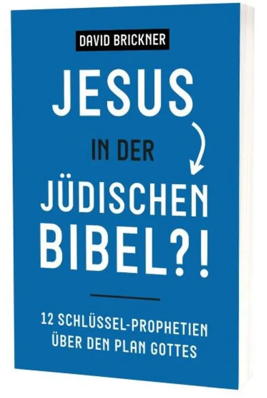 fontis-b-cher-jesus-in-der-j-dischen-bibel-buch-paperback image 1