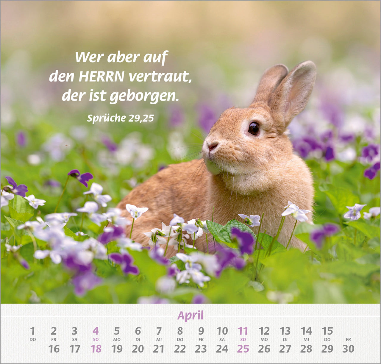 ich-hab-dich-gern-2027-wandkalender-tier-motive-spiralbindung image 6