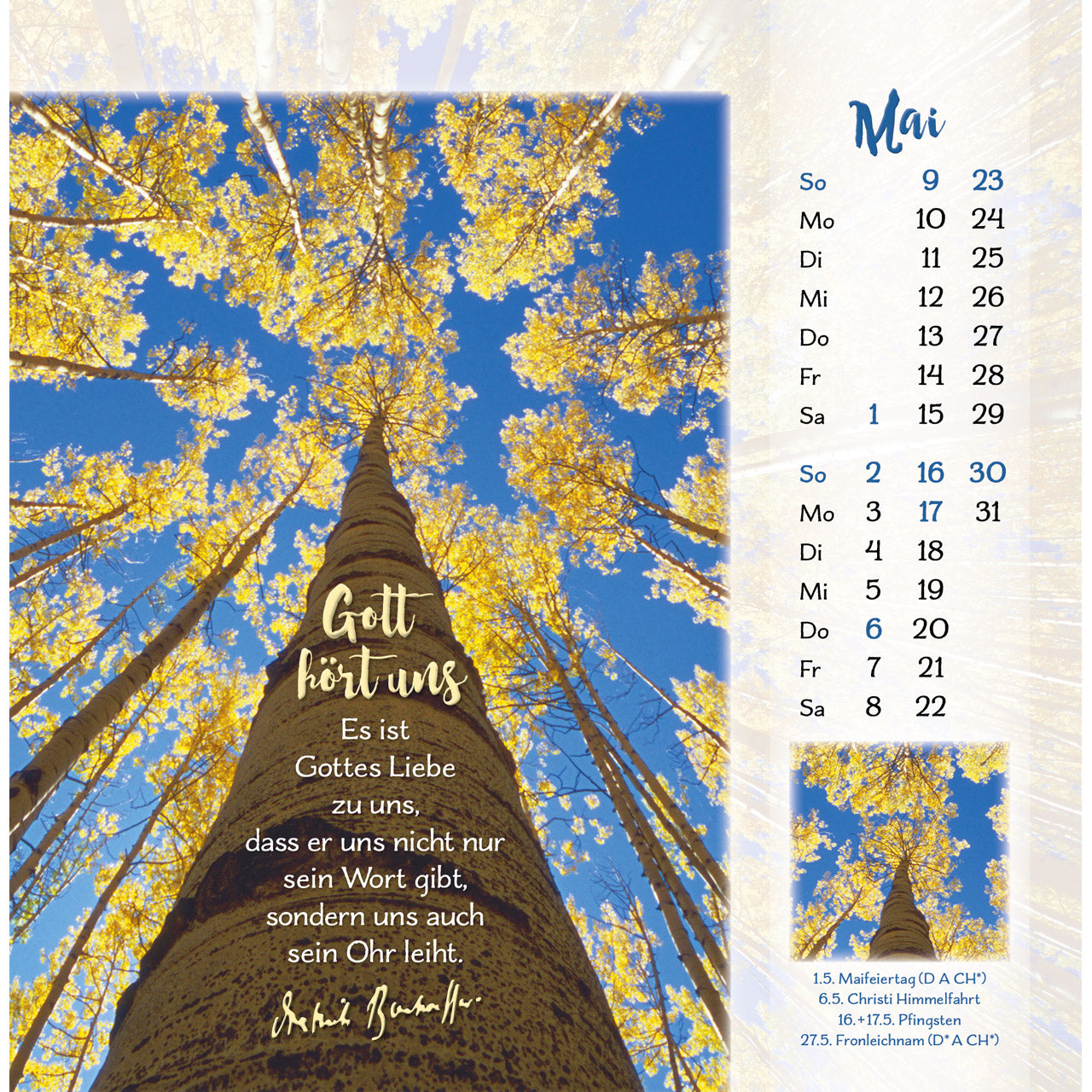 fontis-gott-ist-f-r-dich-2027-postkartenkalender-16x16 image 7