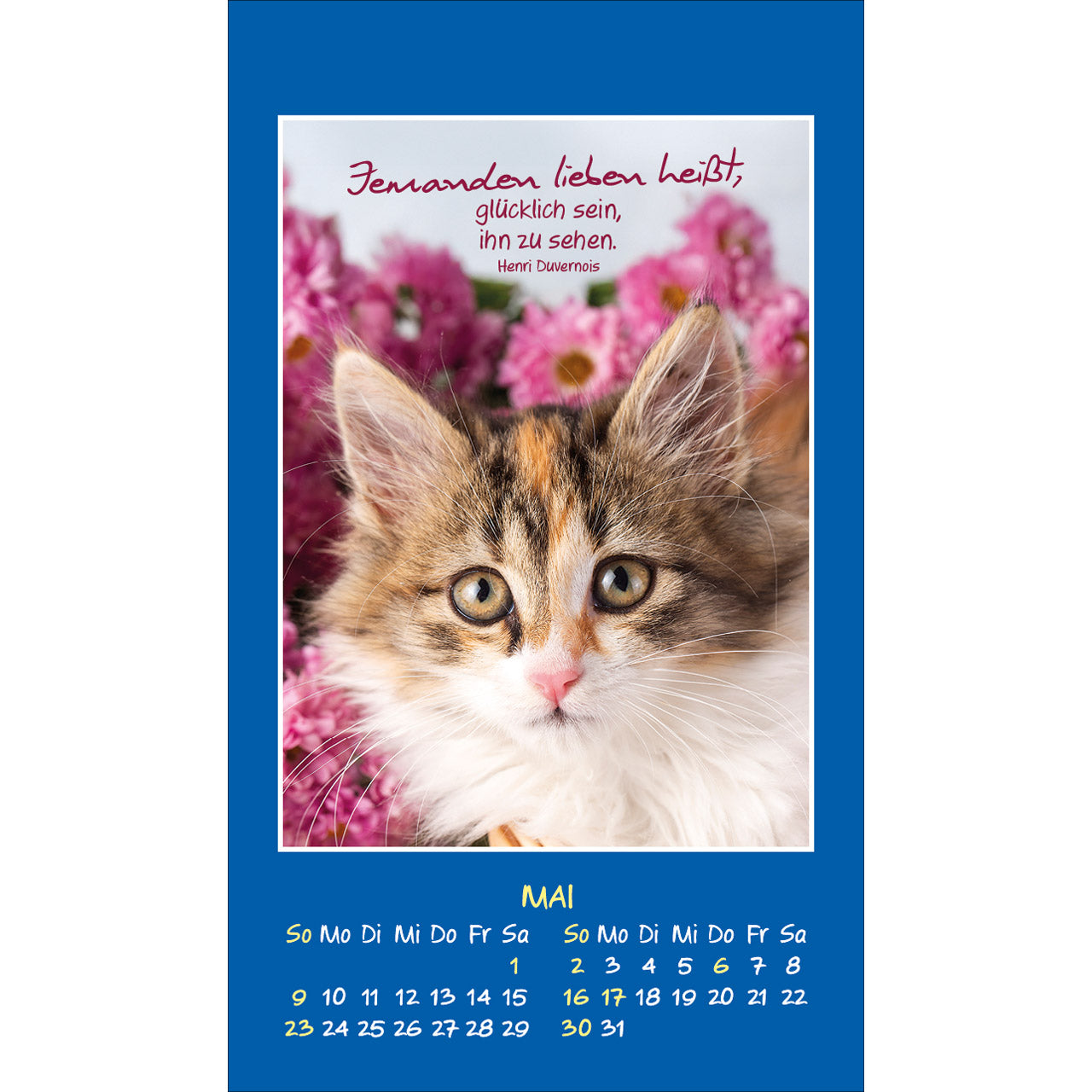 fontis-mini-katzen-tatzen-2027-aufkleberkalender-spiralbindung image 7