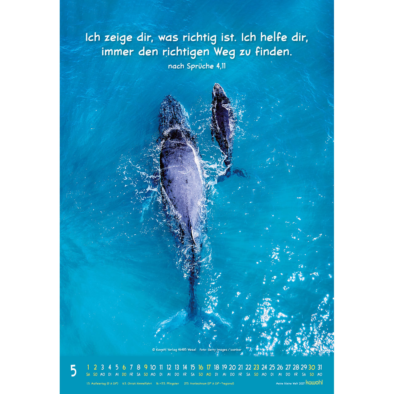 fontis-meine-kleine-welt-2027-wandkalender-f-r-kinder-tierfotos image 7