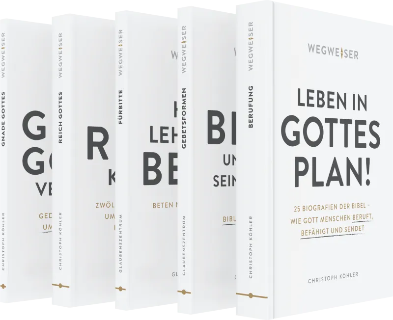 wegweiser-reihe-5er-set-b-cher-paperback-lebenshilfe image 1